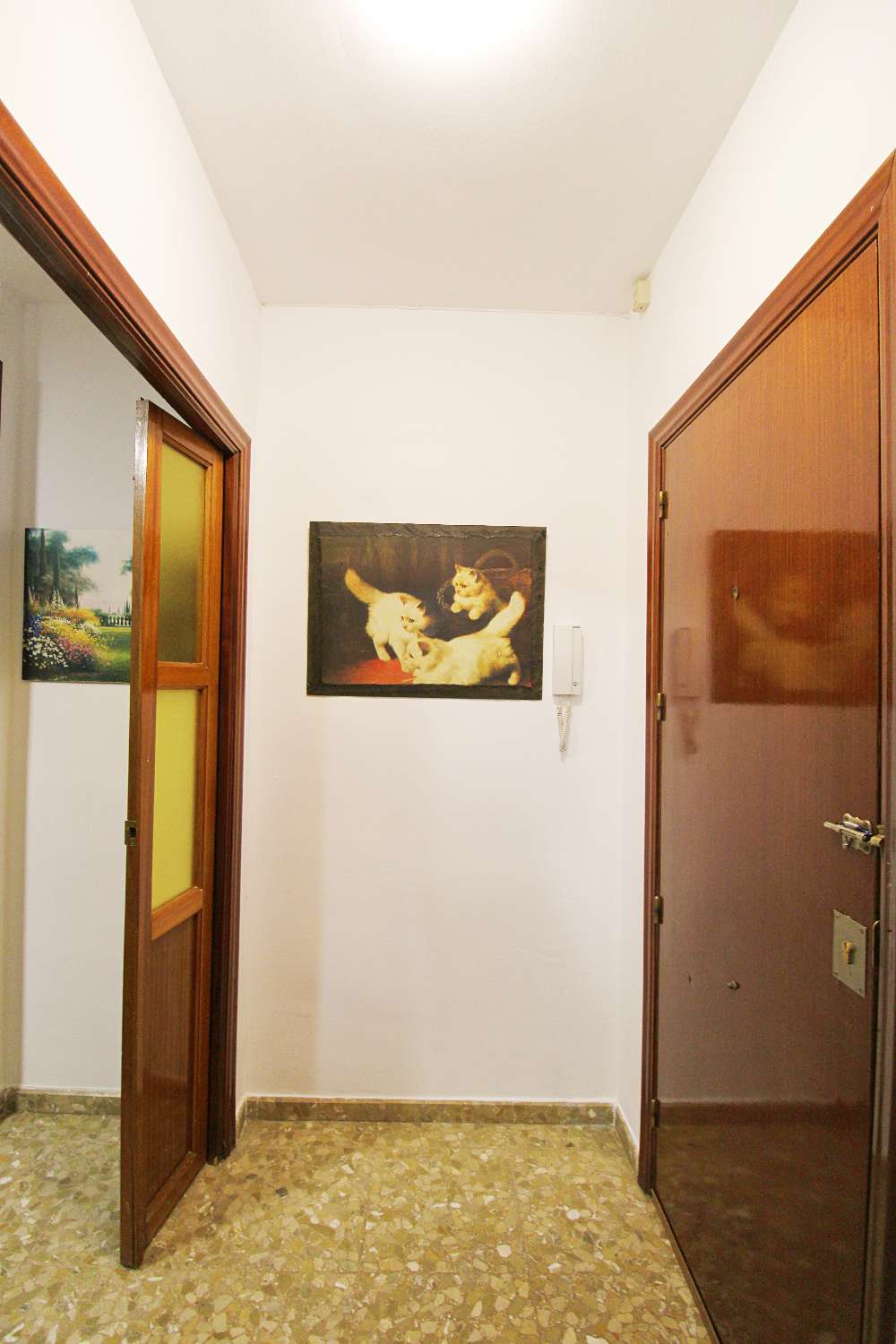 Appartement à louer en centre ville