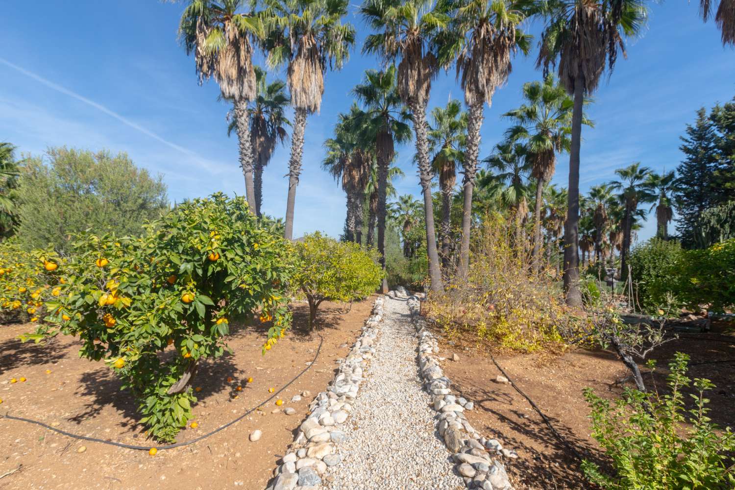 Parcel til salg i Alhaurín de la Torre