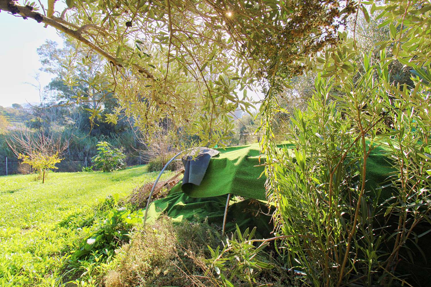 Rustic Plot with Electricity and Excellent Access in Alhaurín el Grande