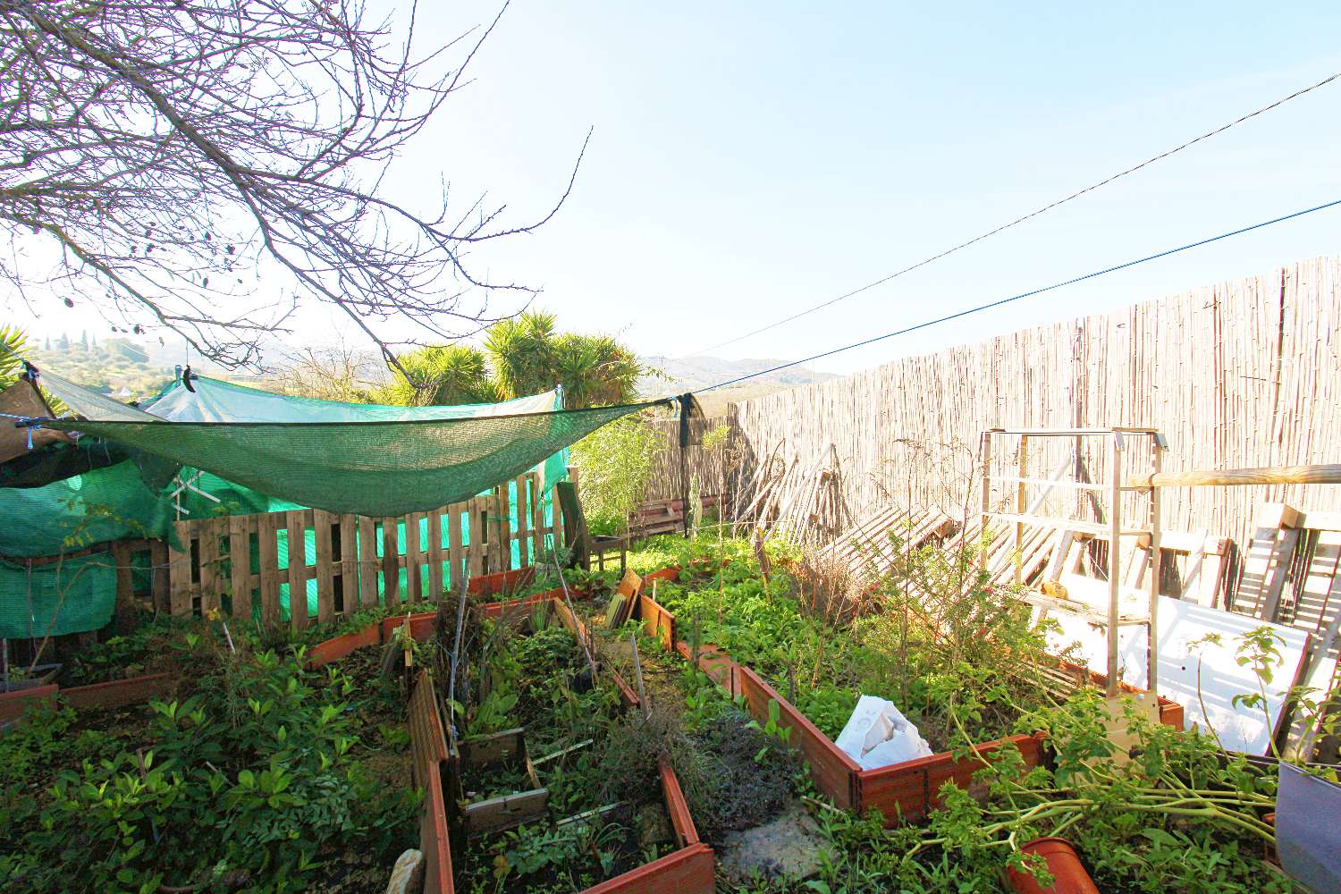 Rustic Plot with Electricity and Excellent Access in Alhaurín el Grande