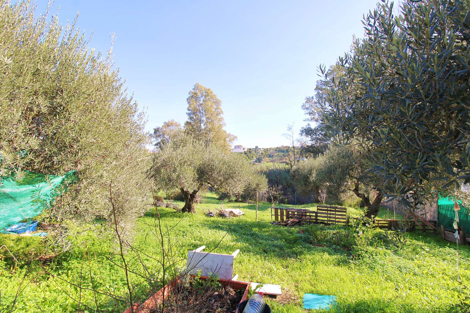 Rustic Plot with Electricity and Excellent Access in Alhaurín el Grande