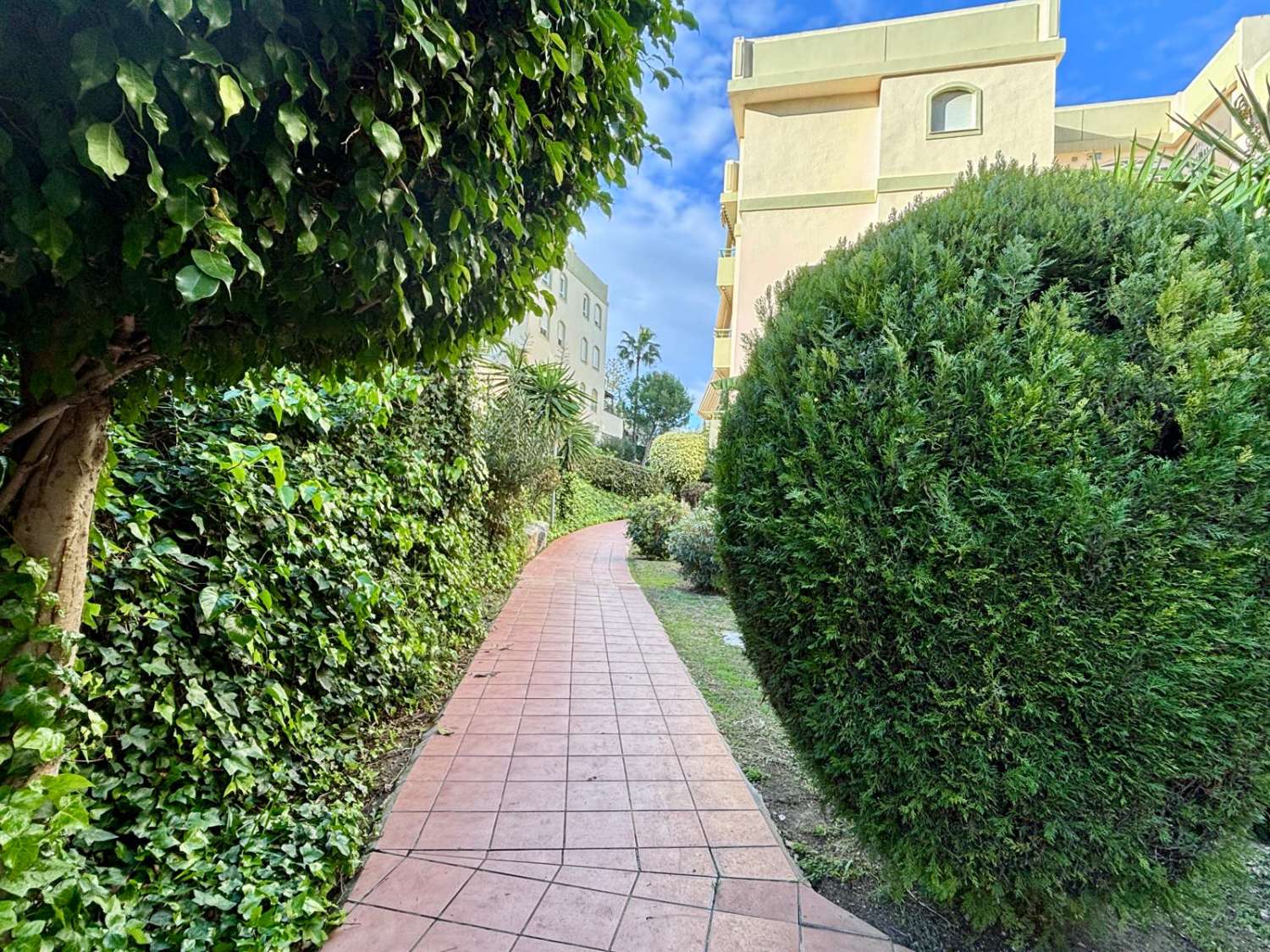 Appartement d’angle rénové avec terrasse, 2 garages, 2 débarras et piscine à El Pinar