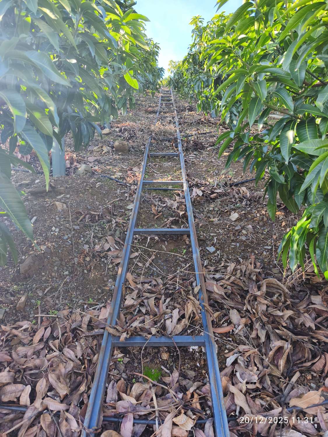 Propriété subtropicale en exploitation à Benagalbón