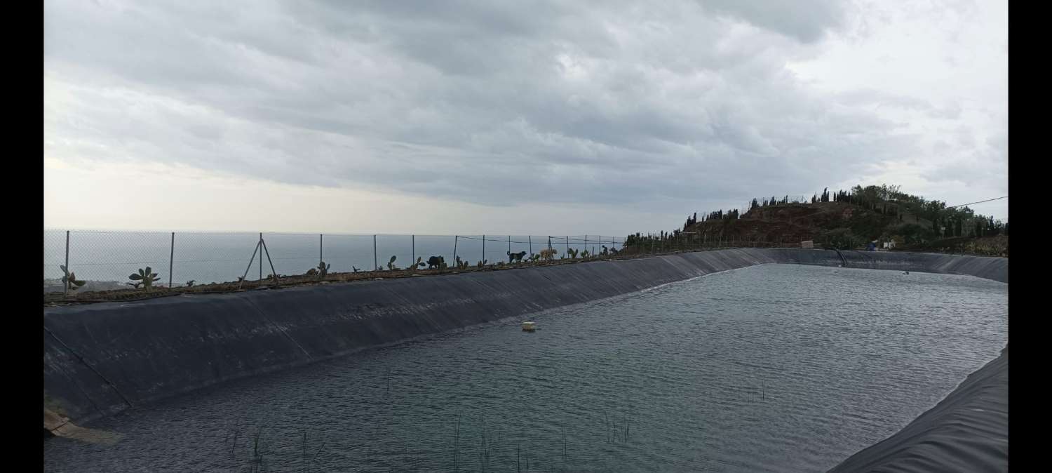 Propriété subtropicale en exploitation à Benagalbón