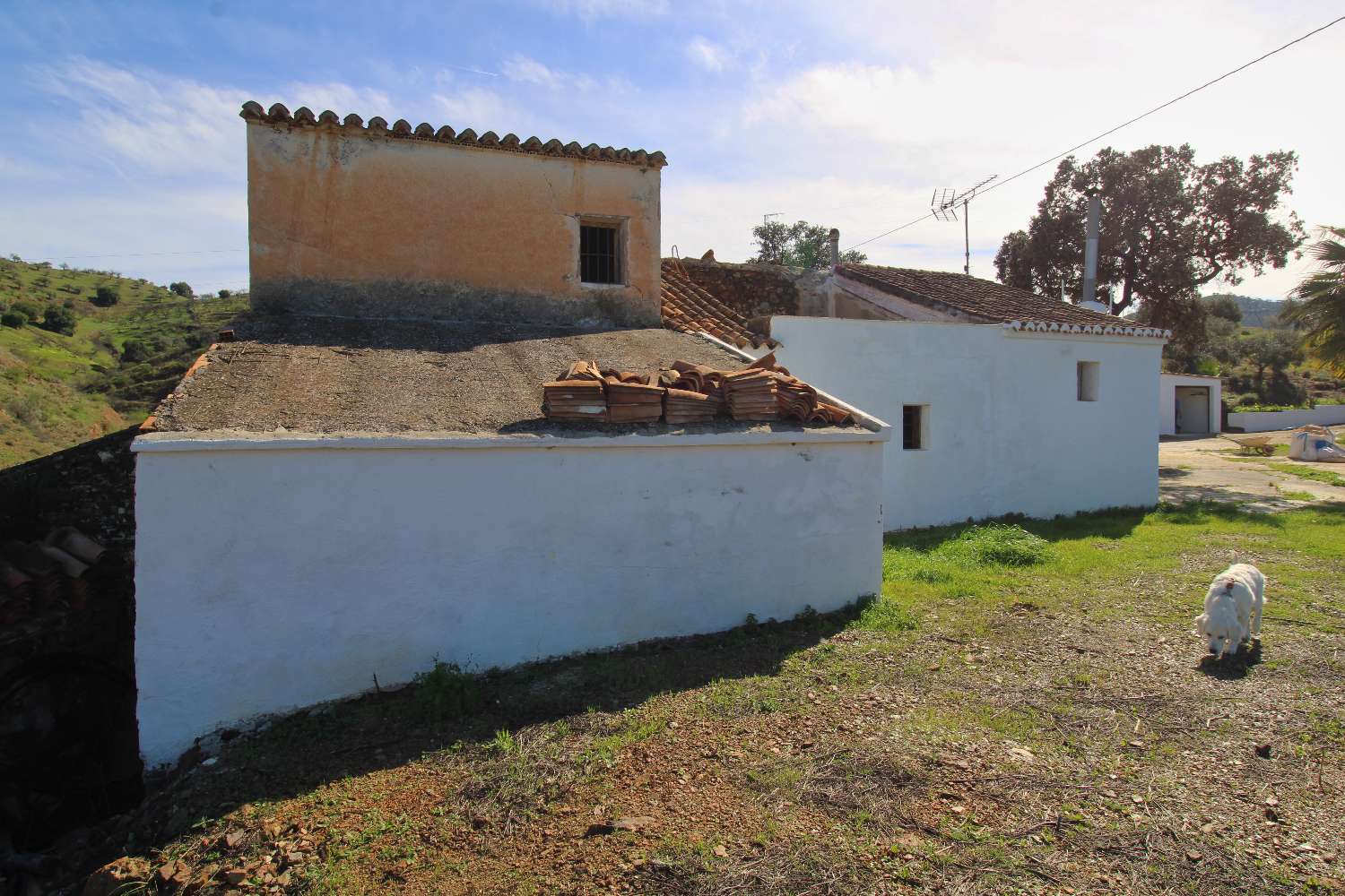 Finca reformada con piscina climatizada y gran parcela en Álora