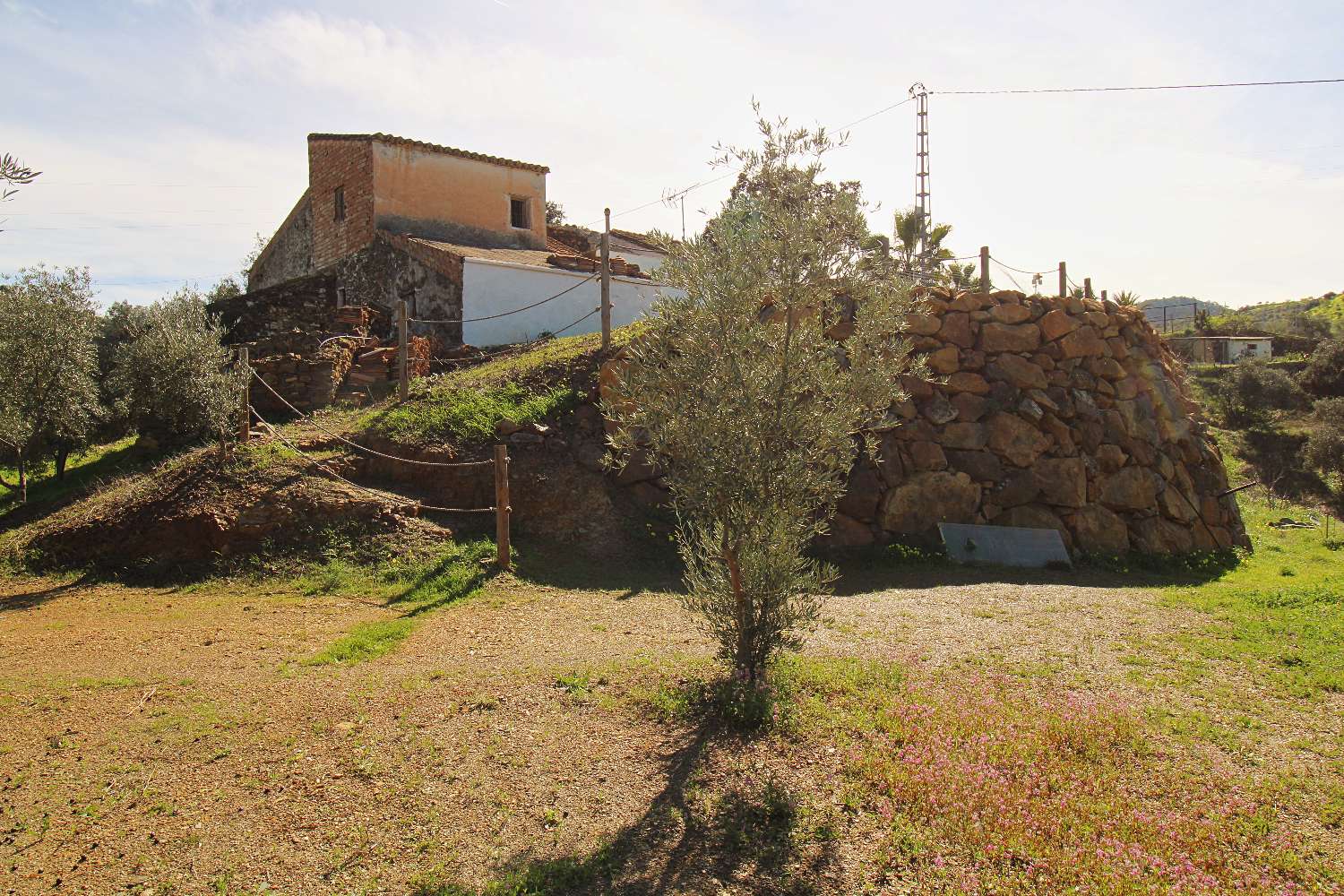 Finca reformada con piscina climatizada y gran parcela en Álora