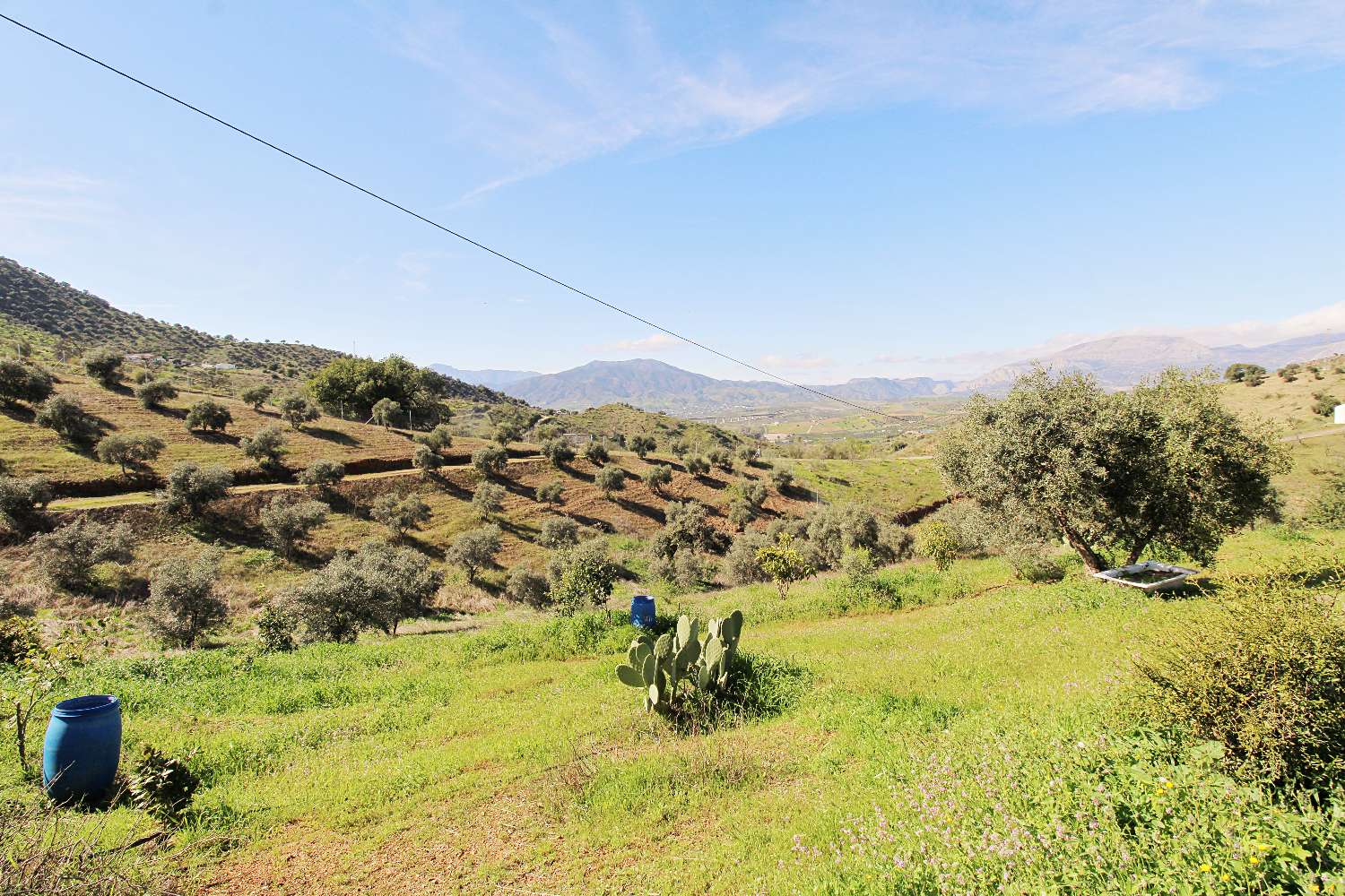 Finca reformada con piscina climatizada y gran parcela en Álora