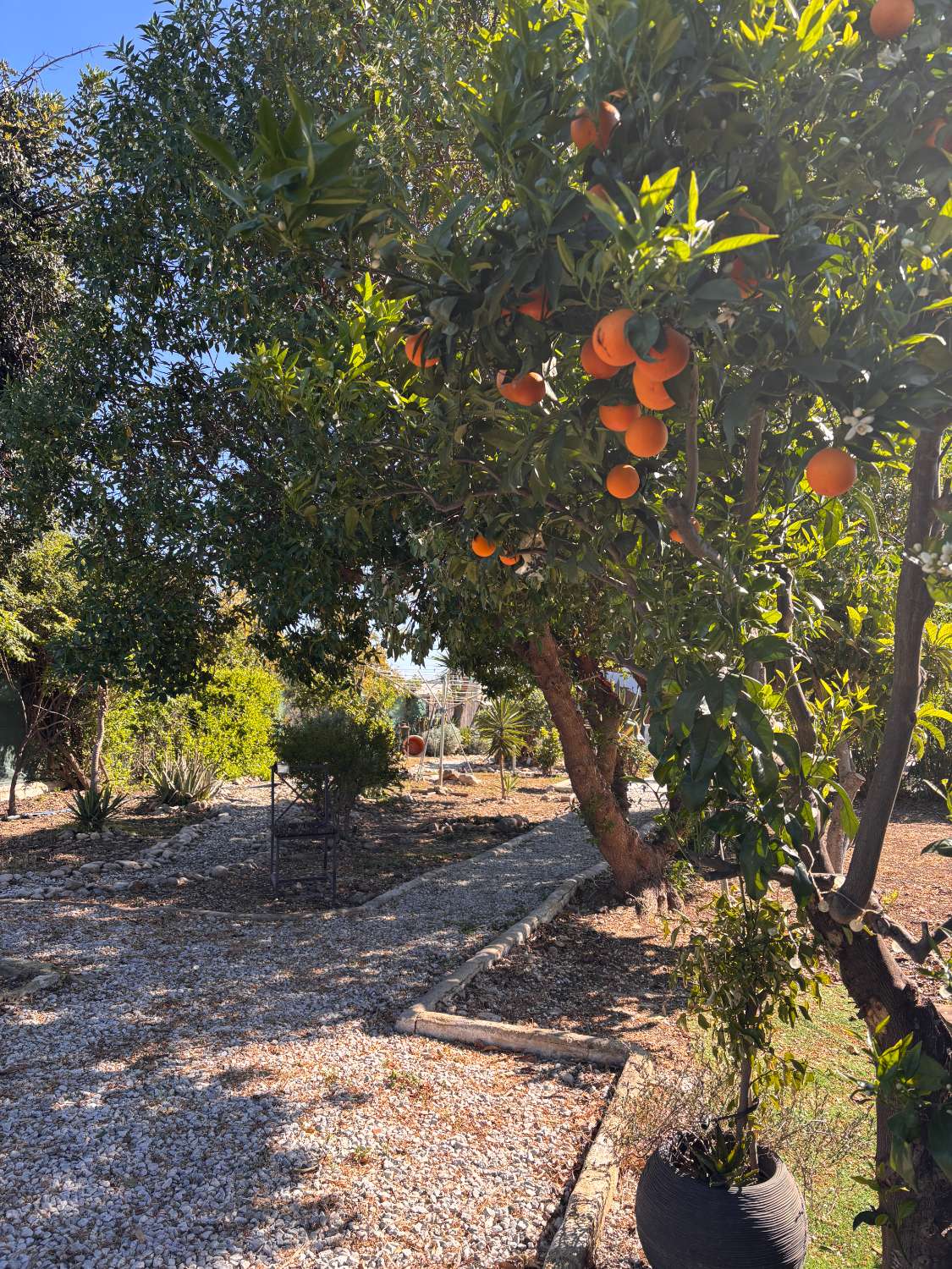 Finca con Casa de Invitados, Piscina y Energía Solar - Privacidad, naturaleza y confort a un paso del centro