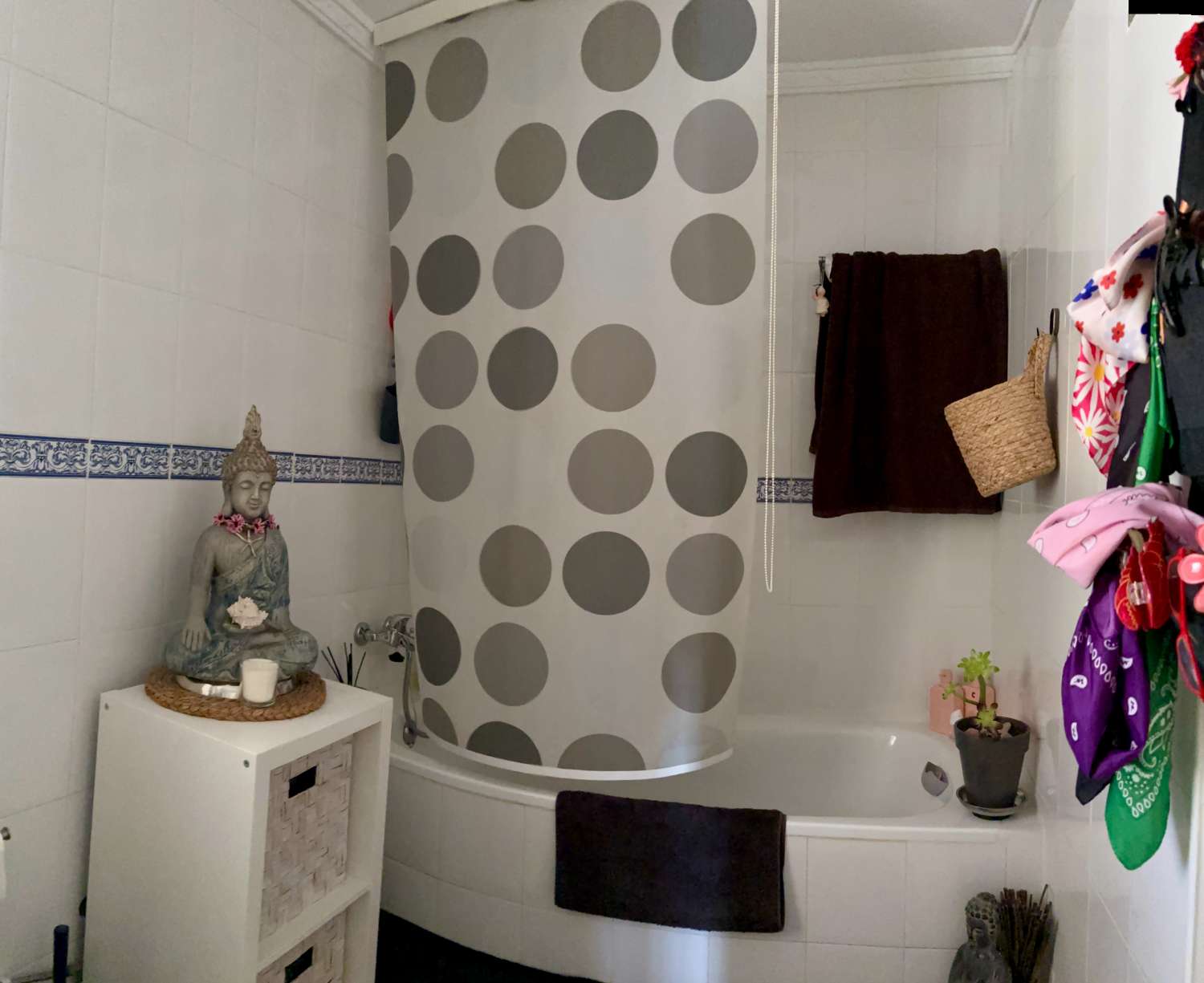 Finca con Casa de Invitados, Piscina y Energía Solar - Privacidad, naturaleza y confort a un paso del centro