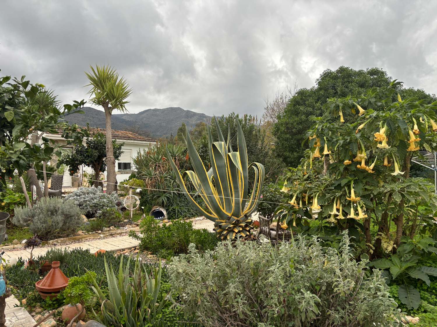 Finca con Casa de Invitados, Piscina y Energía Solar - Privacidad, naturaleza y confort a un paso del centro