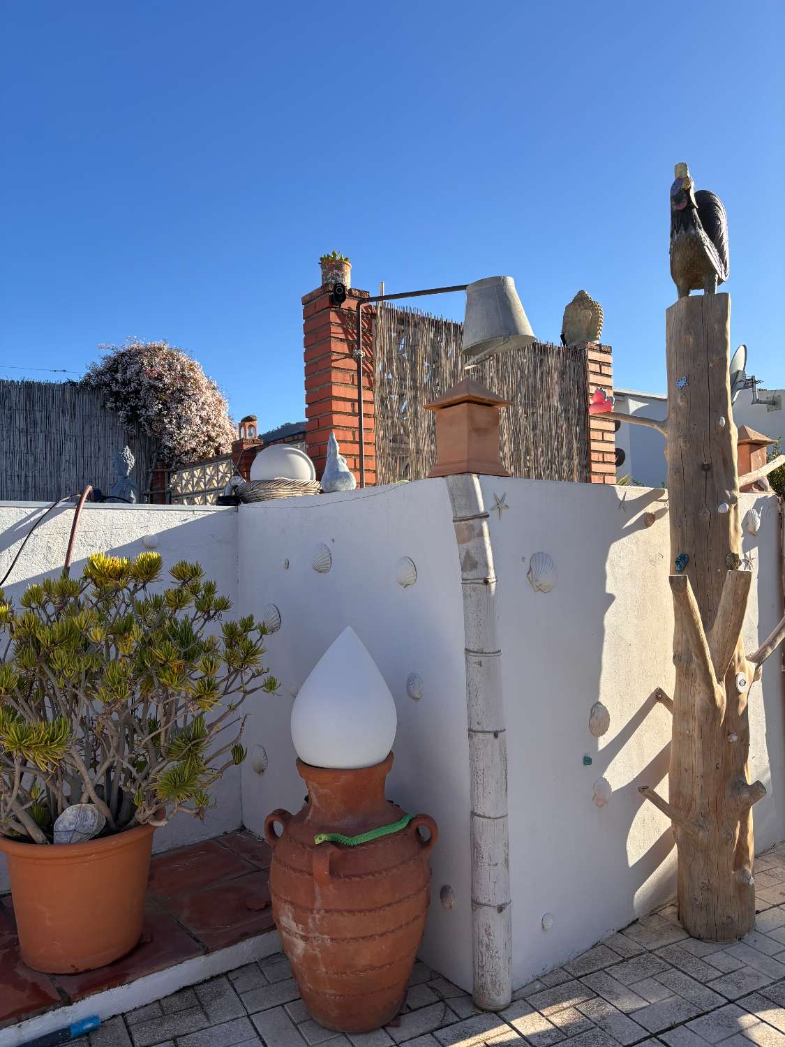 Finca con Casa de Invitados, Piscina y Energía Solar - Privacidad, naturaleza y confort a un paso del centro