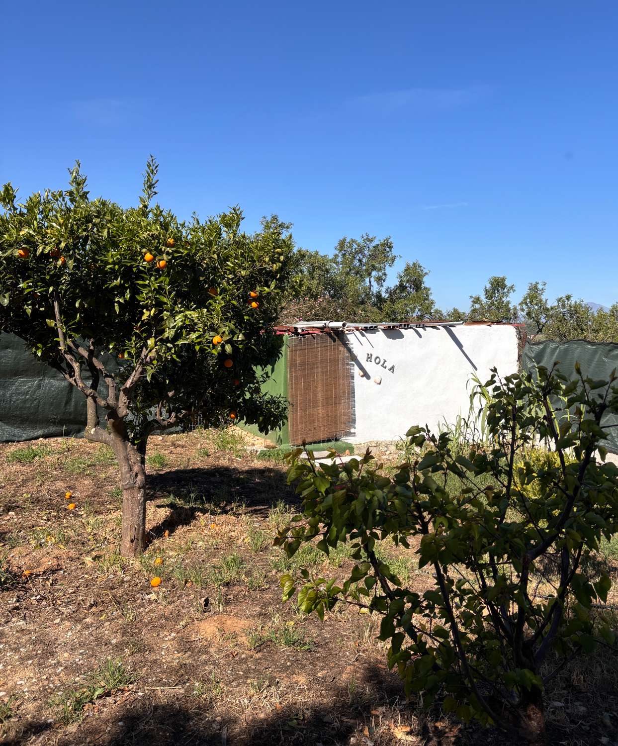 Finca con Casa de Invitados, Piscina y Energía Solar - Privacidad, naturaleza y confort a un paso del centro