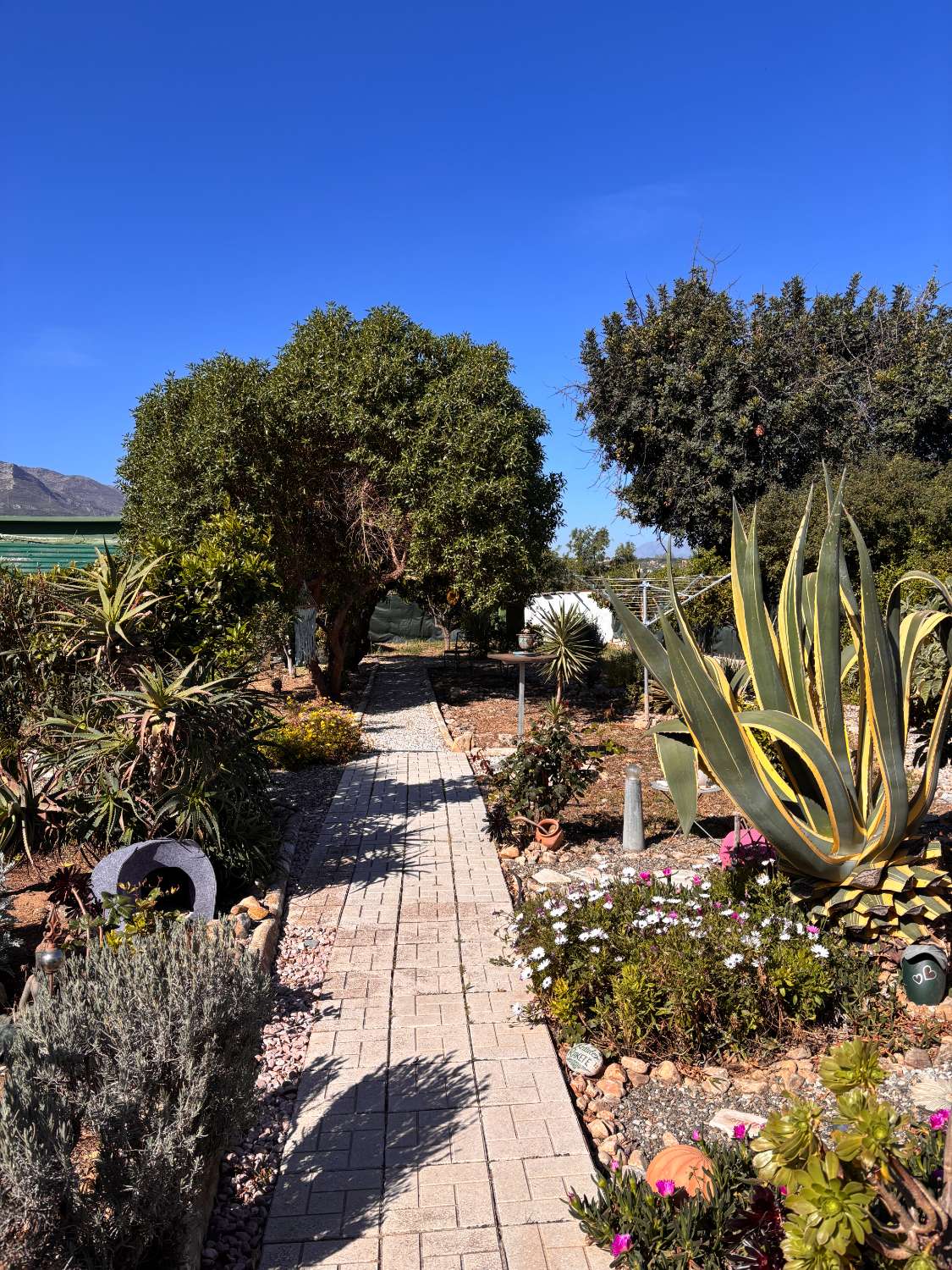 Finca con Casa de Invitados, Piscina y Energía Solar - Privacidad, naturaleza y confort a un paso del centro