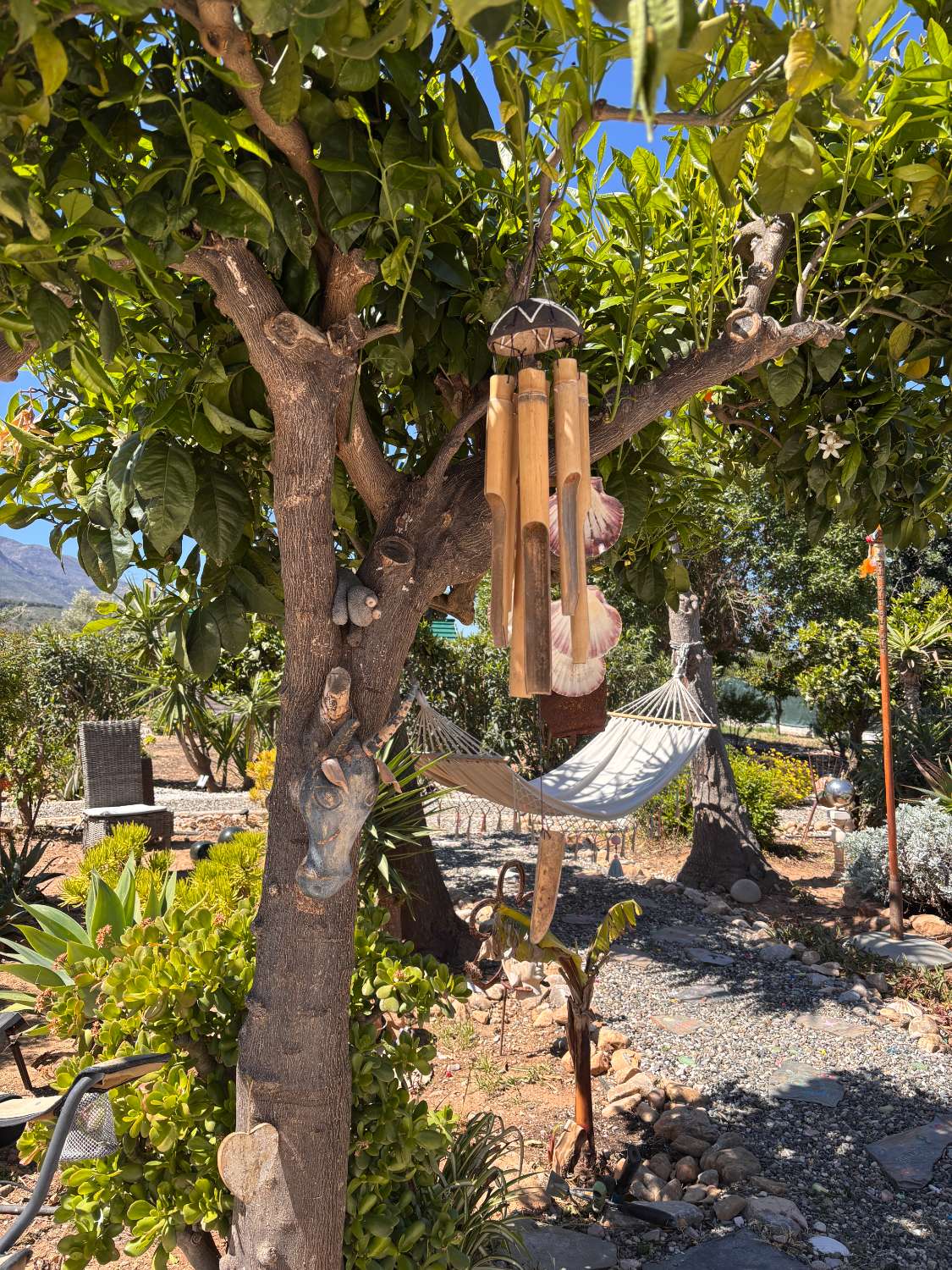 Finca con Casa de Invitados, Piscina y Energía Solar - Privacidad, naturaleza y confort a un paso del centro