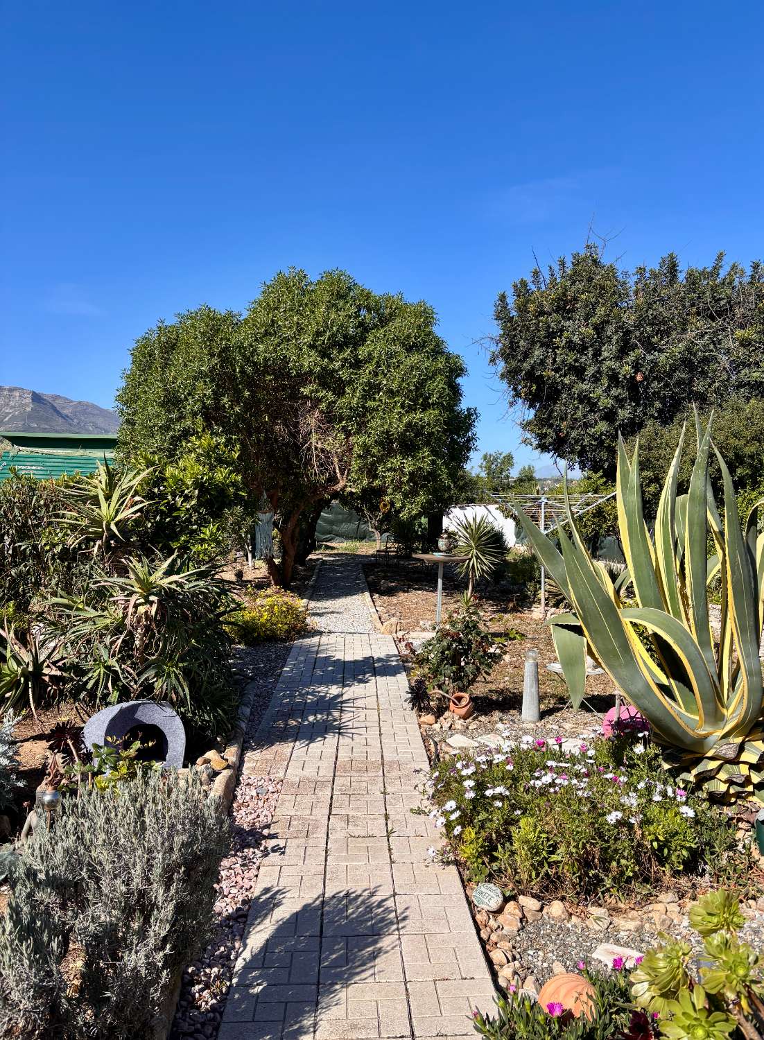 Finca con Casa de Invitados, Piscina y Energía Solar - Privacidad, naturaleza y confort a un paso del centro