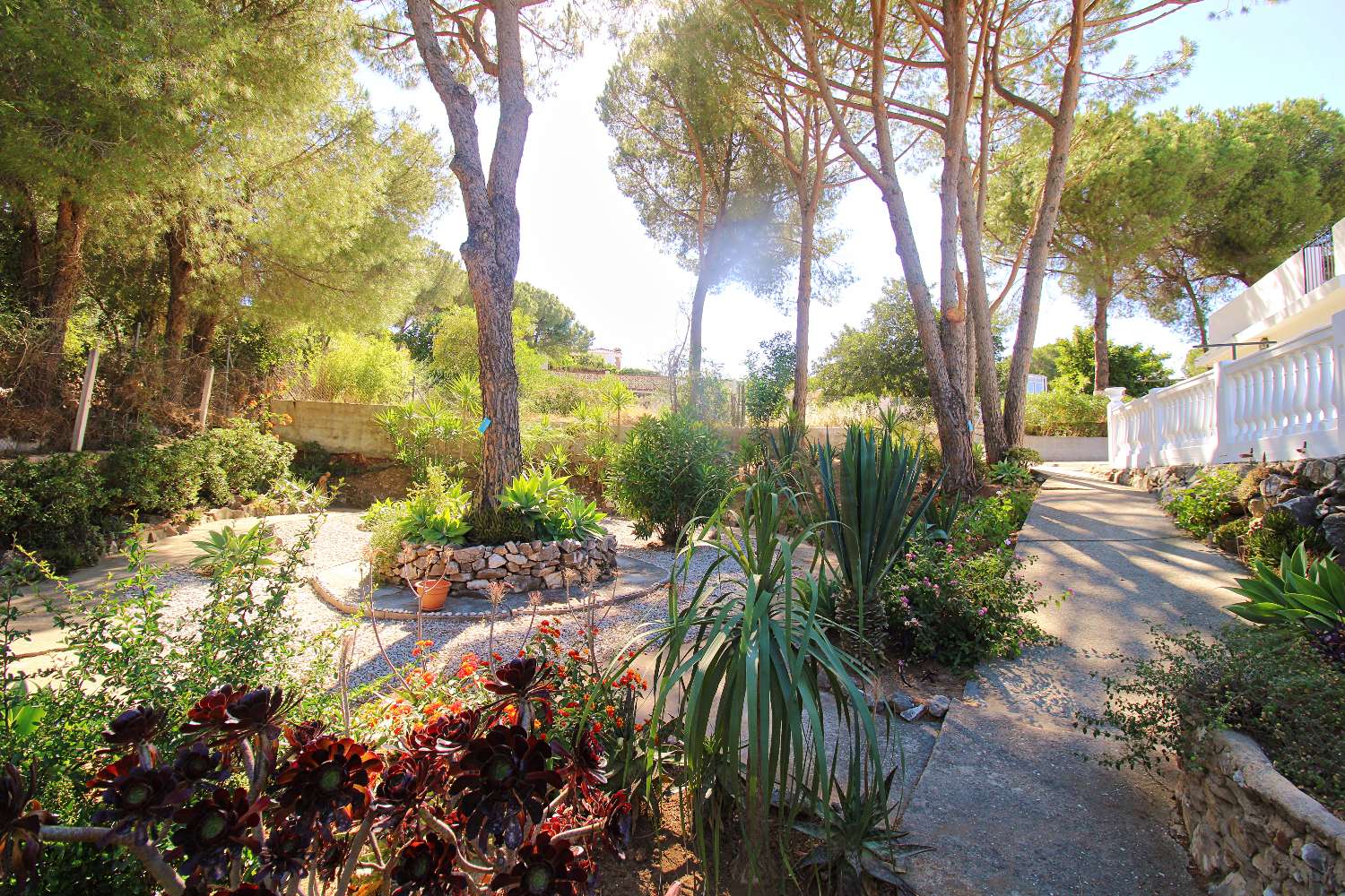 Villa independiente en una planta en Pinos de Alhaurin