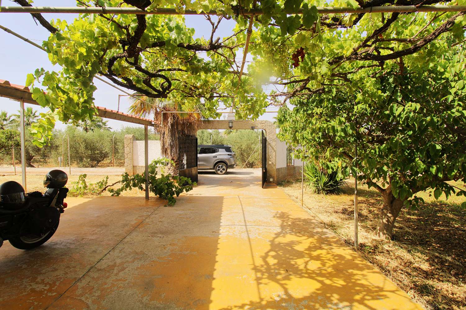 Encantadora Casa de Campo en Alquiler con Piscina y Amplia Parcela en Alhaurín el Grande