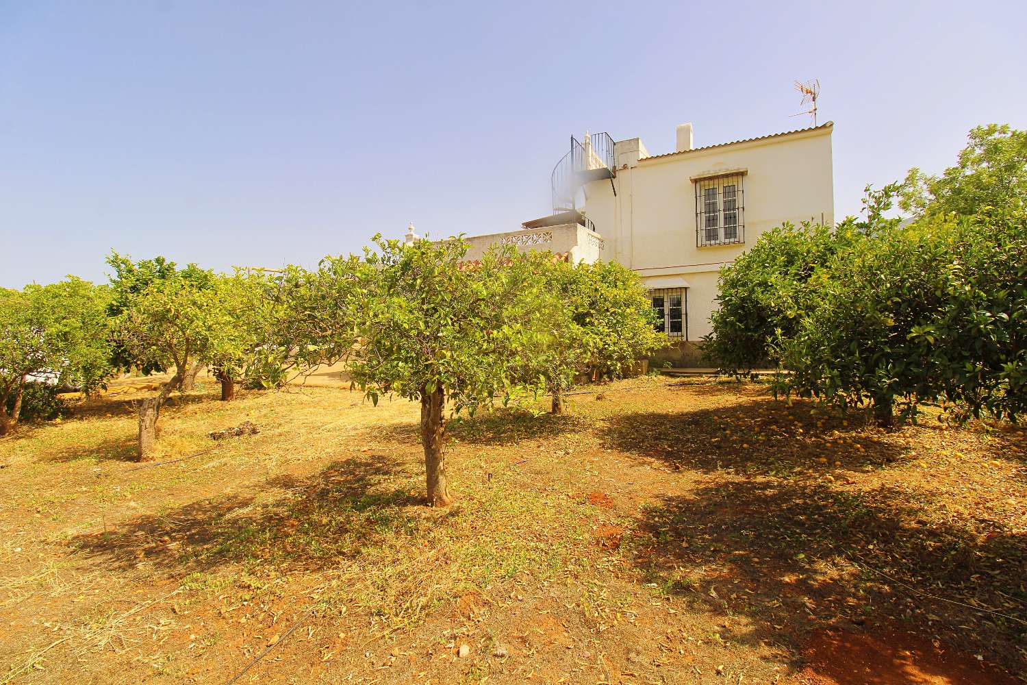 Encantadora Casa de Campo en Alquiler con Piscina y Amplia Parcela en Alhaurín el Grande
