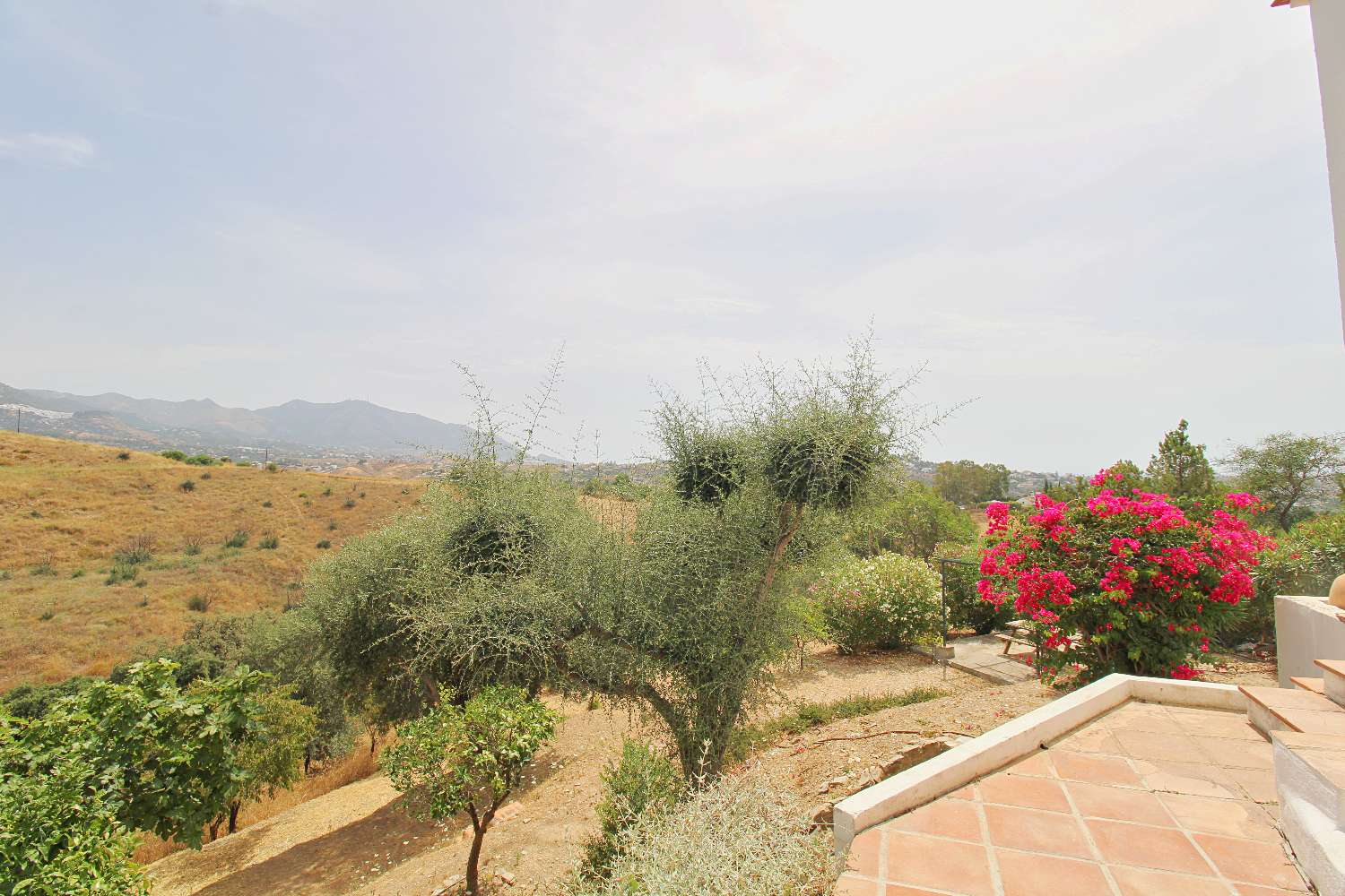 Exklusive Villa mit Über 6.300 m² Grundstück, Meerblick und Absoluter Privatsphäre in Mijas Golf