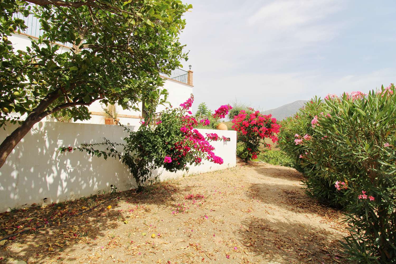 Exklusive Villa mit Über 6.300 m² Grundstück, Meerblick und Absoluter Privatsphäre in Mijas Golf