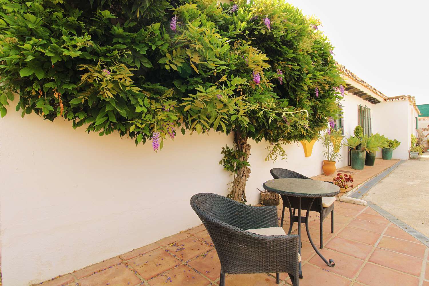 Exklusive Villa mit Über 6.300 m² Grundstück, Meerblick und Absoluter Privatsphäre in Mijas Golf