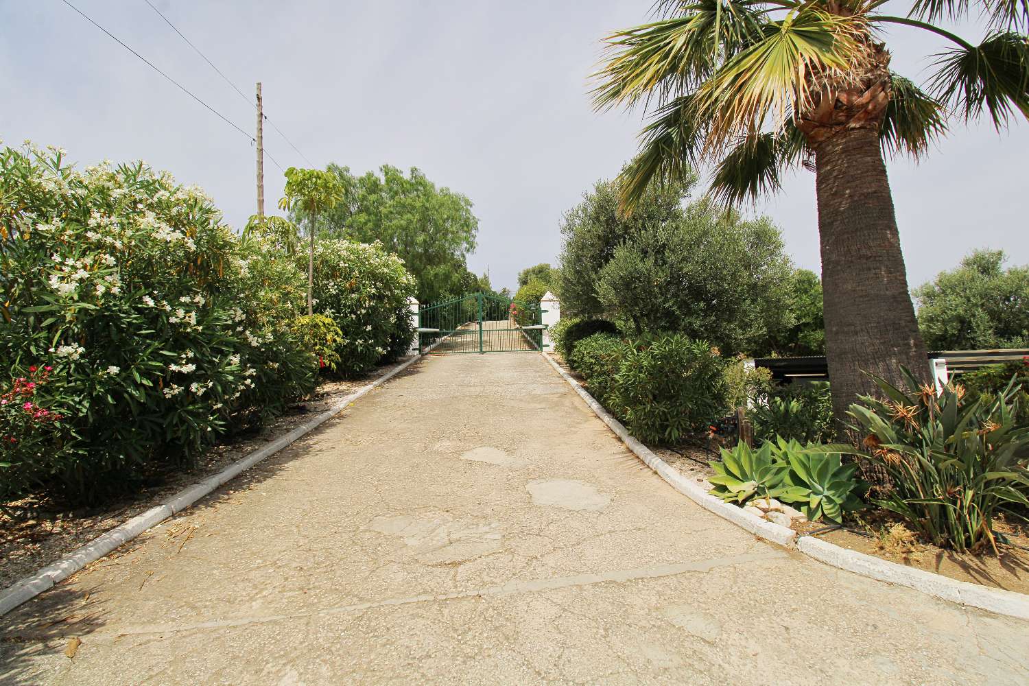Exklusive Villa mit Über 6.300 m² Grundstück, Meerblick und Absoluter Privatsphäre in Mijas Golf