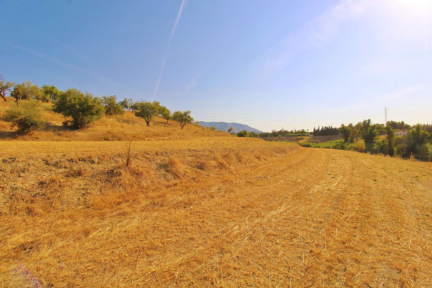 Excelente Oportunidad de Inversión – Terreno Rústico de Más de 20.000 m² en Alhaurín de la Torre
