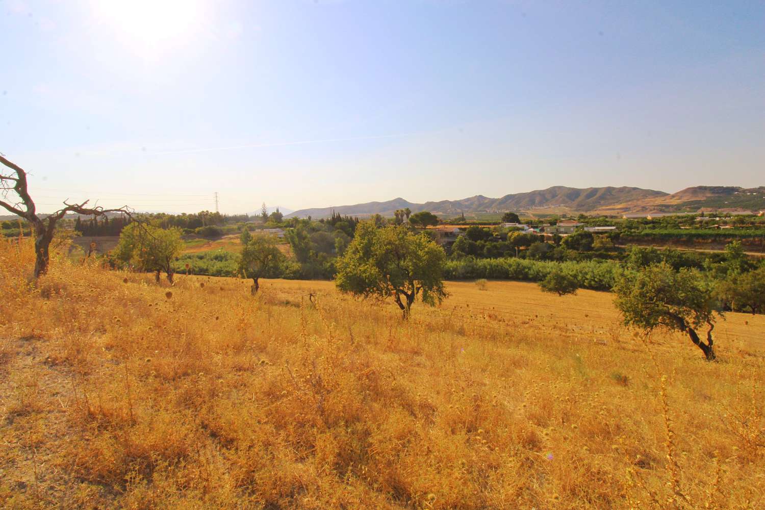 Excelente Oportunidad de Inversión – Terreno Rústico de Más de 20.000 m² en Alhaurín de la Torre