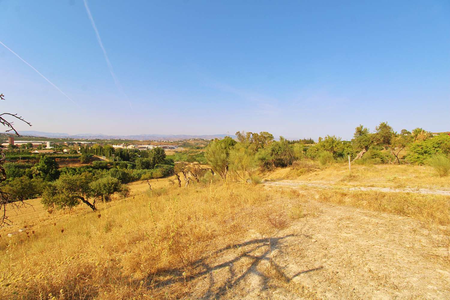 Excelente Oportunidad de Inversión – Terreno Rústico de Más de 20.000 m² en Alhaurín de la Torre