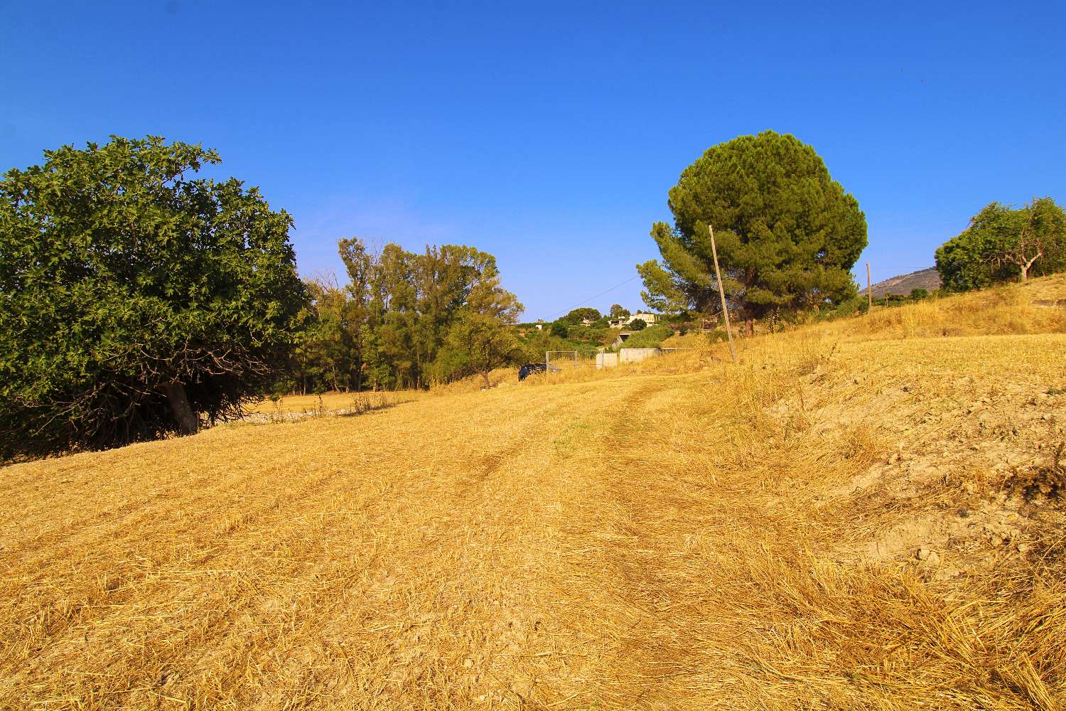 Excelente Oportunidad de Inversión – Terreno Rústico de Más de 20.000 m² en Alhaurín de la Torre