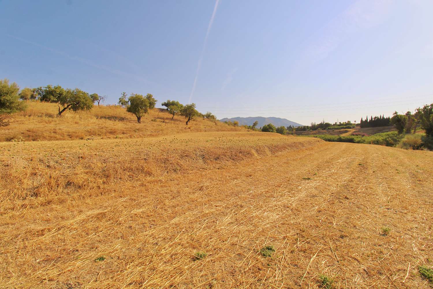 Excelente Oportunidad de Inversión – Terreno Rústico de Más de 20.000 m² en Alhaurín de la Torre