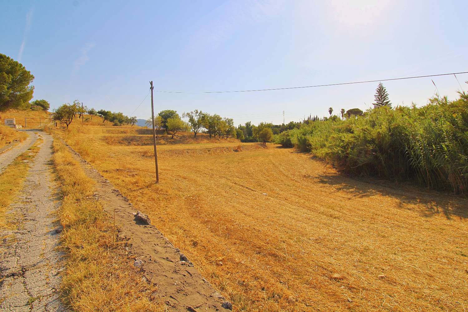 Excelente Oportunidad de Inversión – Terreno Rústico de Más de 20.000 m² en Alhaurín de la Torre