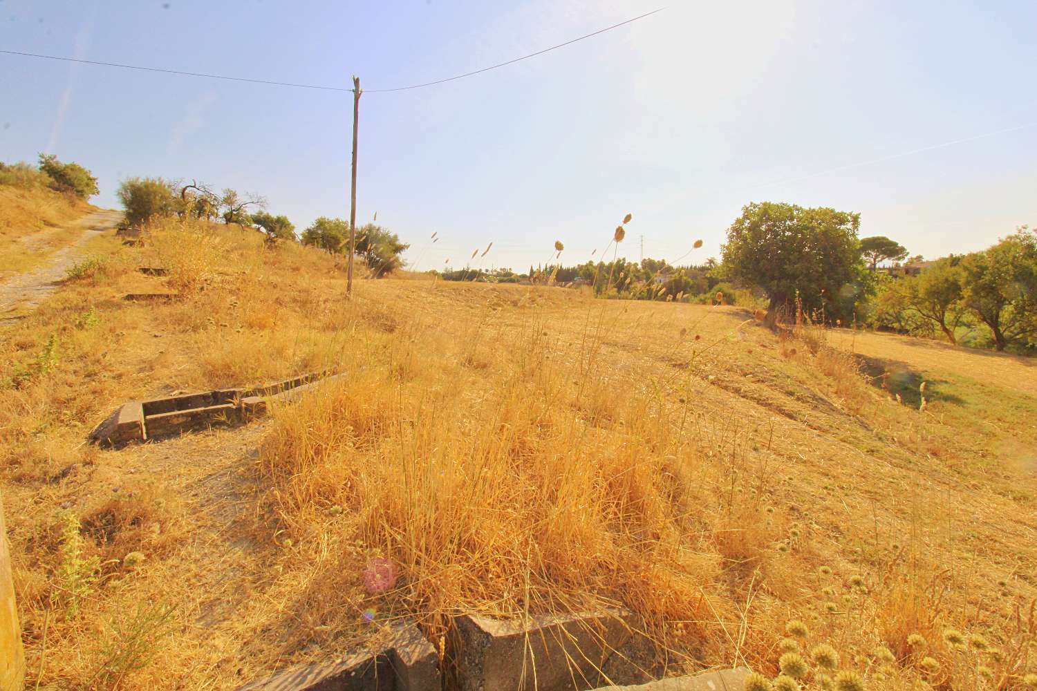 Excelente Oportunidad de Inversión – Terreno Rústico de Más de 20.000 m² en Alhaurín de la Torre