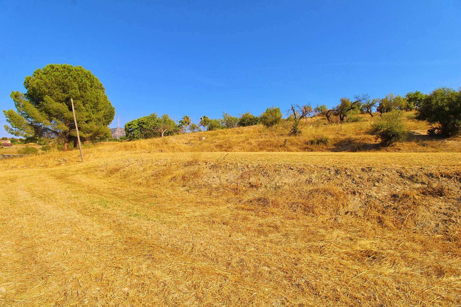 Excelente Oportunidad de Inversión – Terreno Rústico de Más de 20.000 m² en Alhaurín de la Torre
