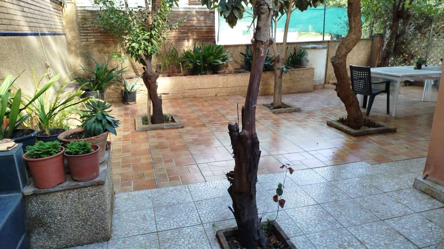 APARTAMENTO EN ALQUILER DE 3 DORMITORIOS EN EL PALO