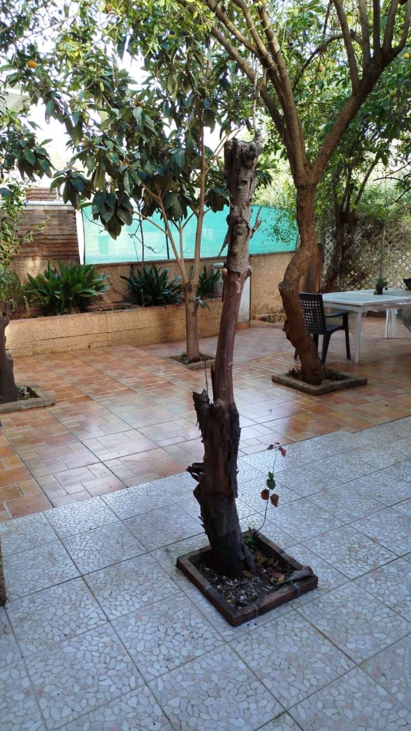 APARTAMENTO EN ALQUILER DE 3 DORMITORIOS EN EL PALO