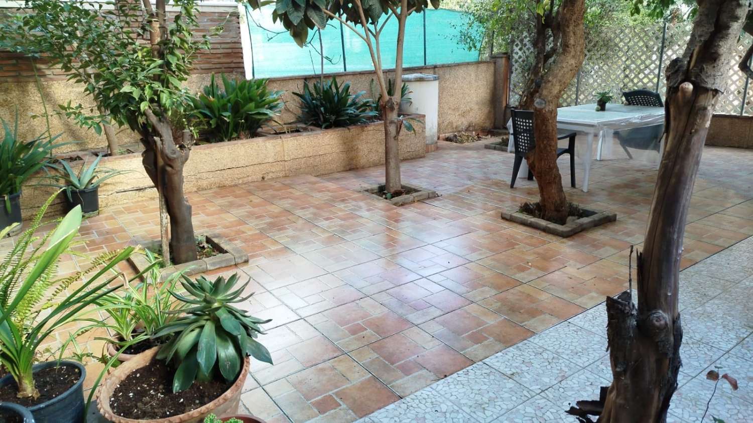 APARTAMENTO EN ALQUILER DE 3 DORMITORIOS EN EL PALO