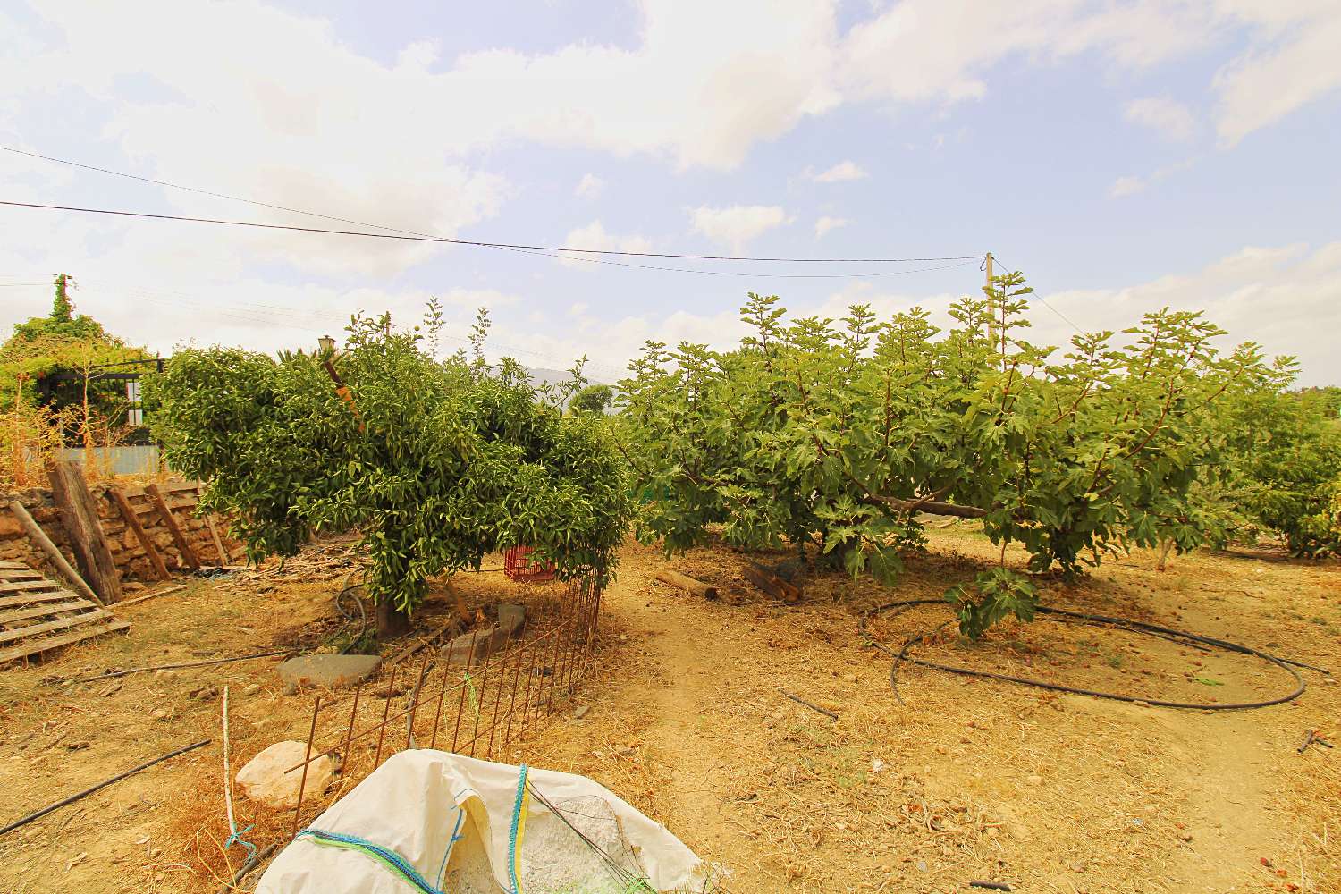 Encantadora finca rústica con vivienda, pozo legalizado y garaje en La Alquería, Alhaurín de la Torre