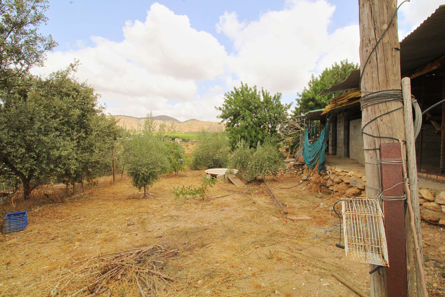 Encantadora finca rústica con vivienda, pozo legalizado y garaje en La Alquería, Alhaurín de la Torre