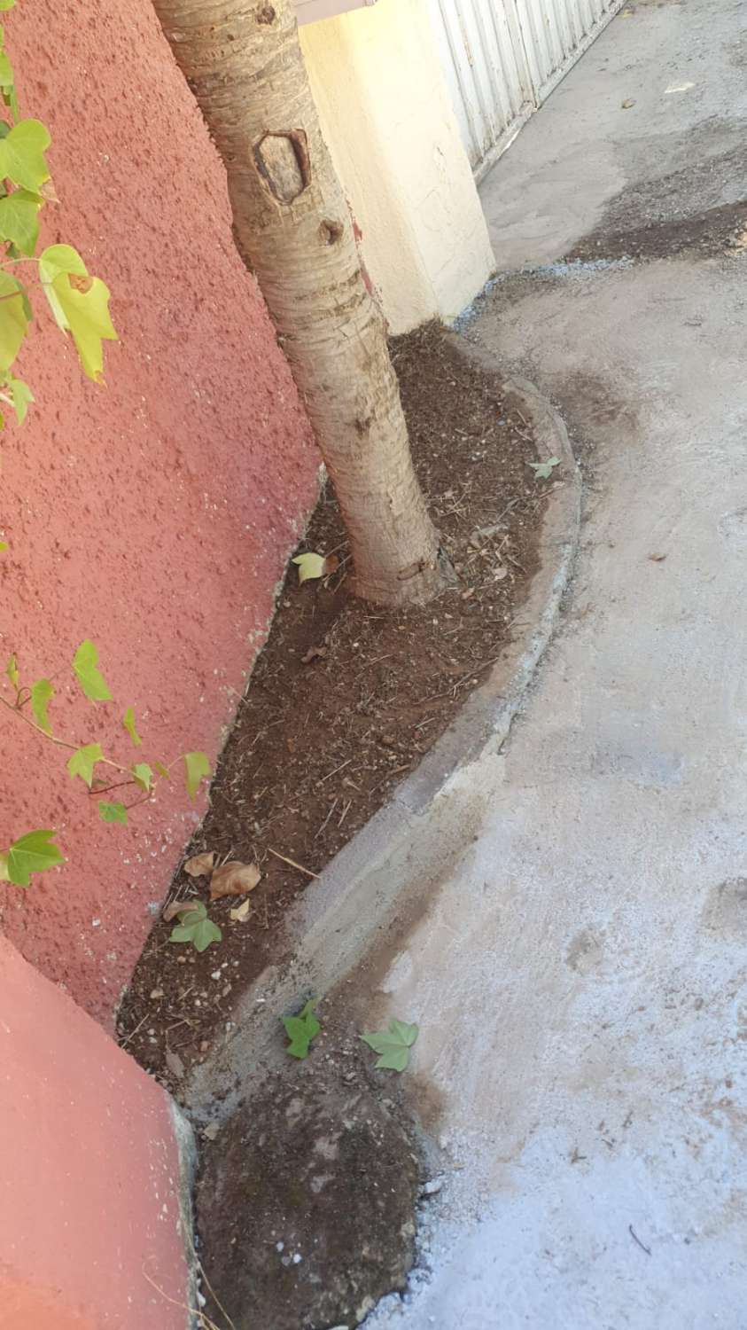 FINCA RÚSTICA CON AFO, CUATRO VIVIENDAS, NAVE Y PISCINA – GRAN OPORTUNIDAD DE INVERSIÓN