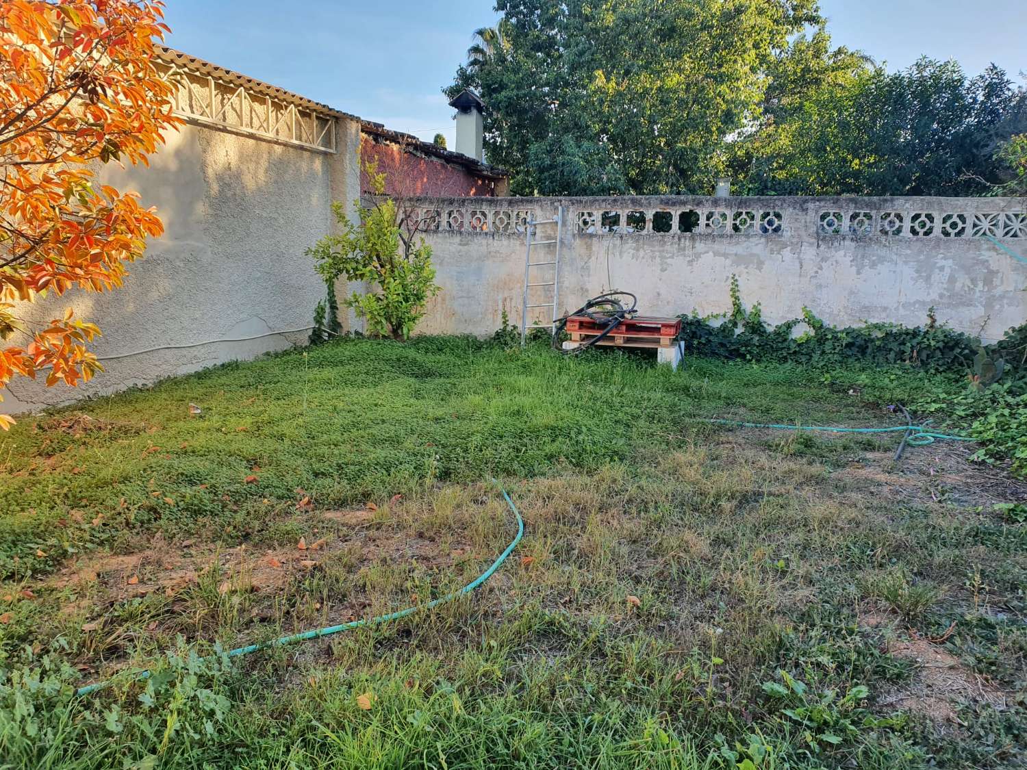 FINCA RÚSTICA CON AFO, CUATRO VIVIENDAS, NAVE Y PISCINA – GRAN OPORTUNIDAD DE INVERSIÓN