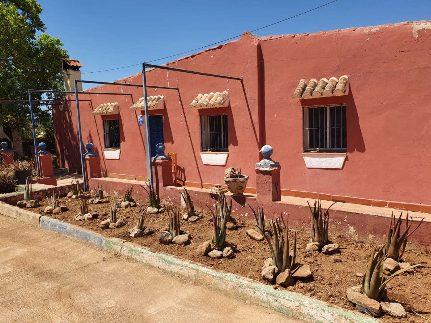 FINCA RÚSTICA CON AFO, CUATRO VIVIENDAS, NAVE Y PISCINA – GRAN OPORTUNIDAD DE INVERSIÓN