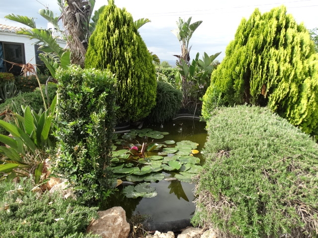 Villa exclusive à louer avec piscine et grande parcelle à Alhaurín de la Torre