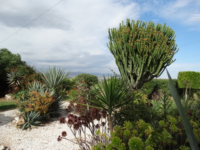 Villa exclusive à louer avec piscine et grande parcelle à Alhaurín de la Torre