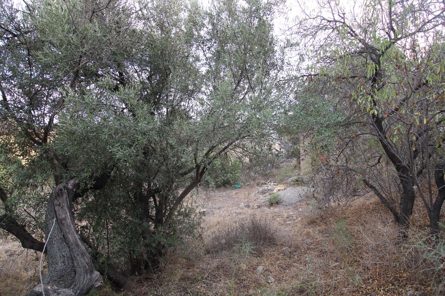 Terrain dans la Sierra de Churriana