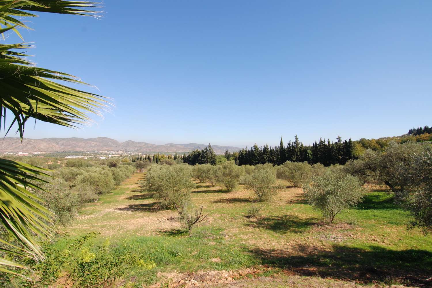 Ausgezeichnete unabhängige Villa in Alhaurin el Grande