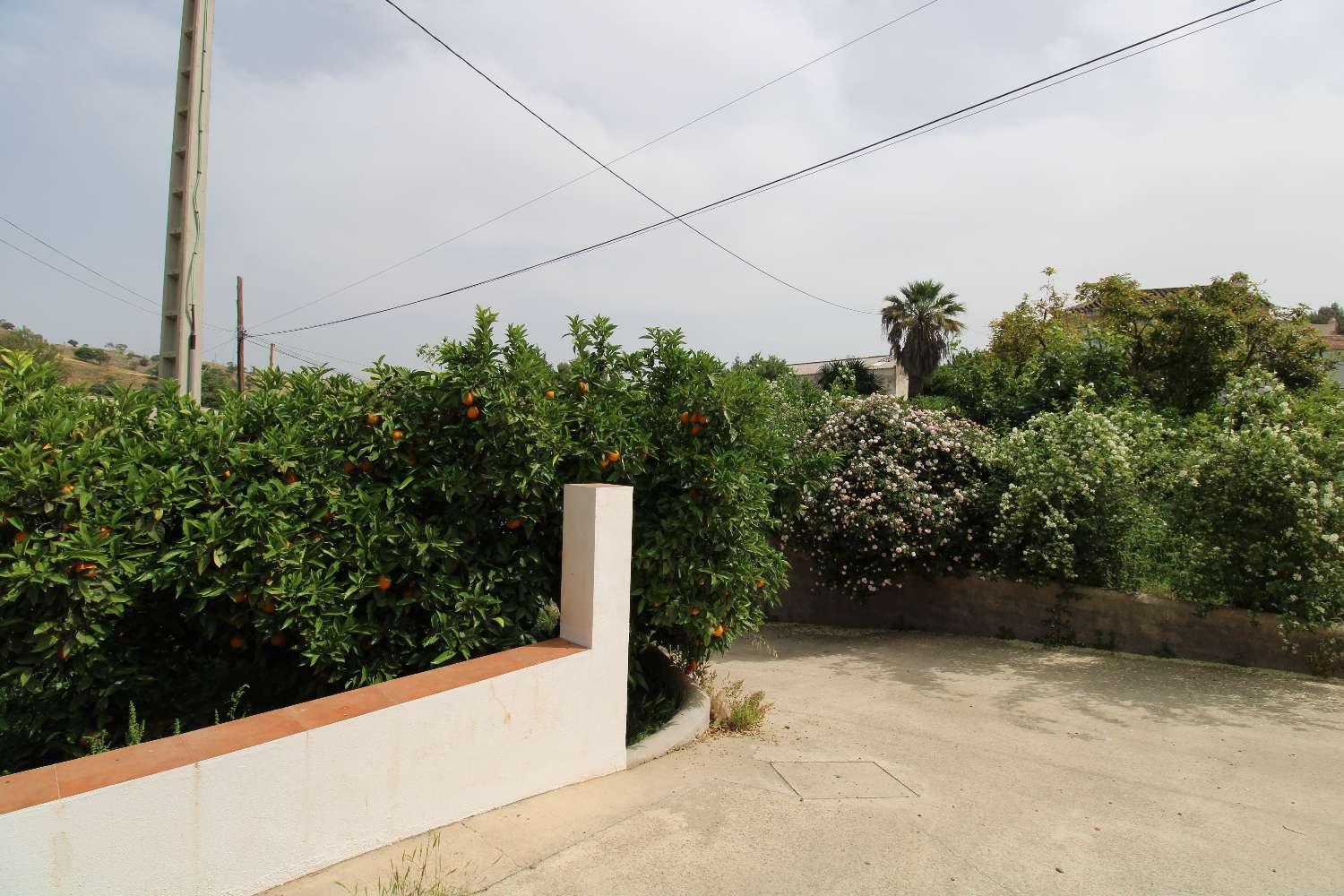 Ferme avec production d'orangers, de noyers et d'avocatiers