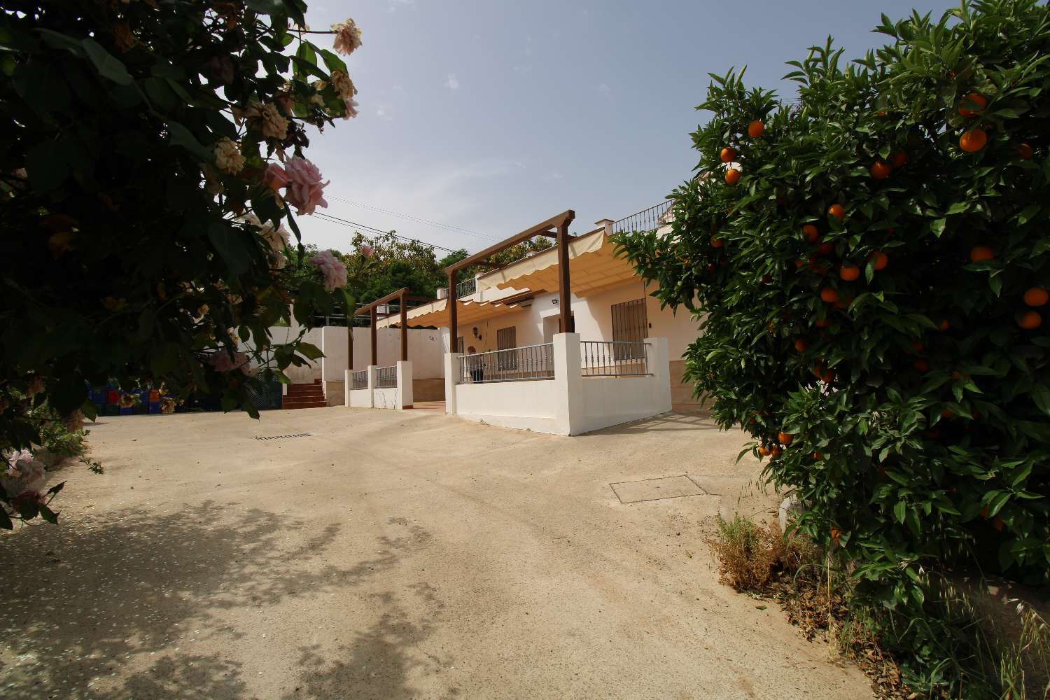 Ferme avec production d'orangers, de noyers et d'avocatiers