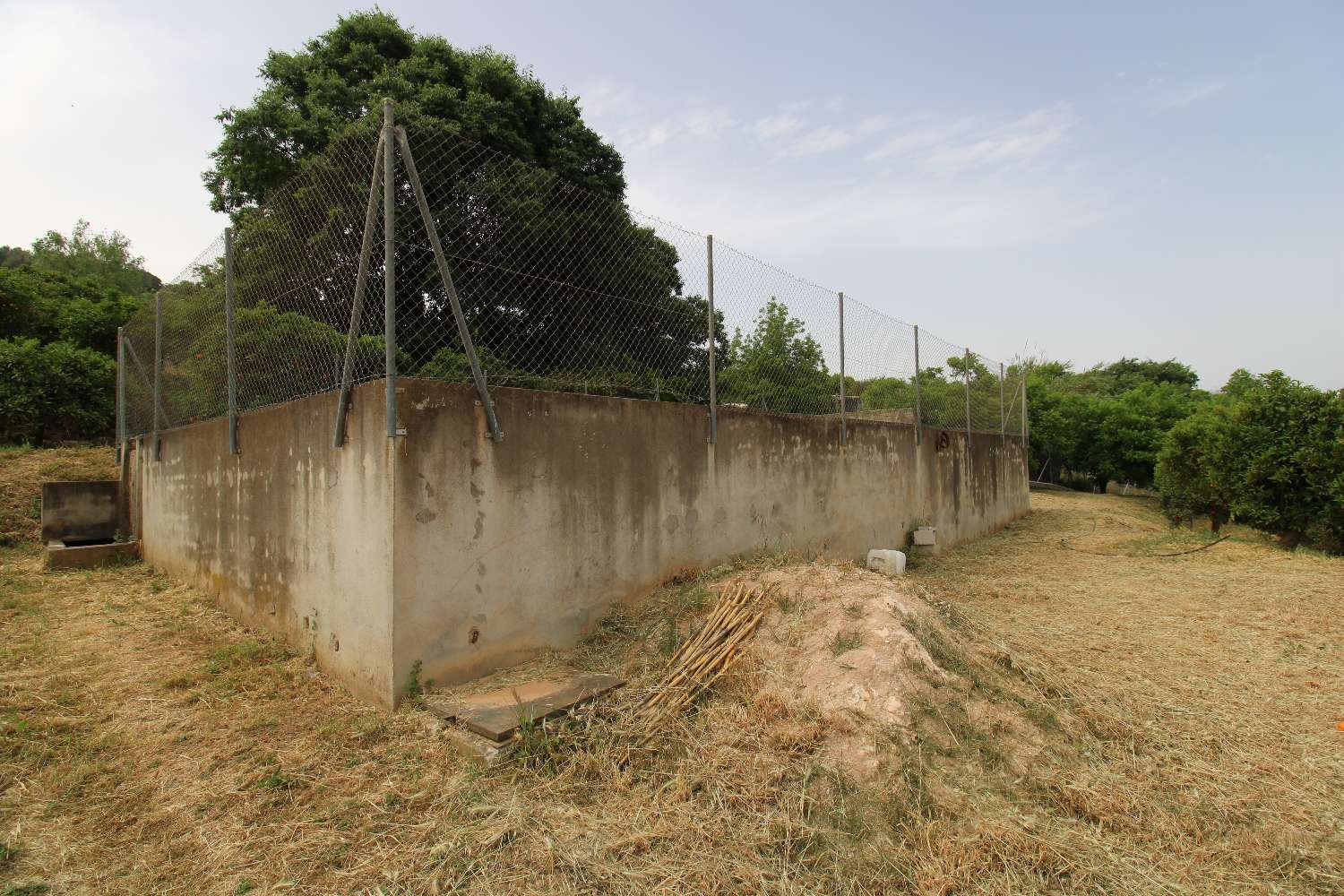 Ferme avec production d'orangers, de noyers et d'avocatiers