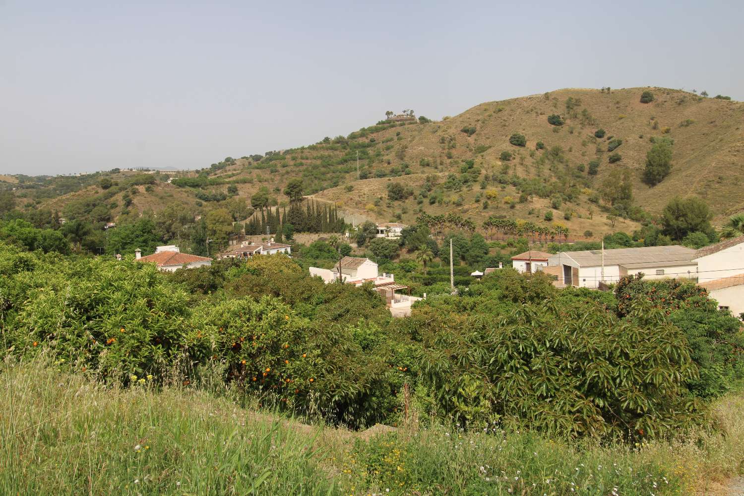 Farm with production with Orange, Walnut and Avocado trees